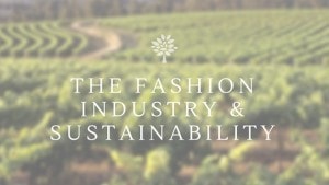 the Fashion industry & Sustainability